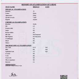 Medical Report Date Edit