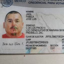Mexican Voter ID Edit