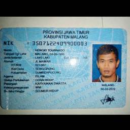 ID Card Year Edit
