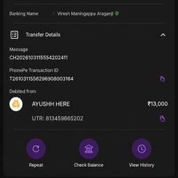 Payment Success Screenshot