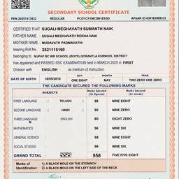 School Certificate Year Edit