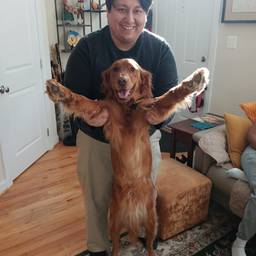 Before - Pumpkin Costume Duo