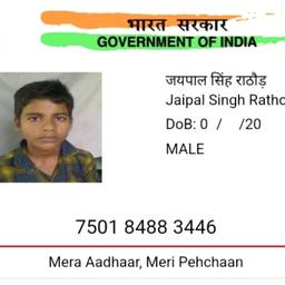 Antes - Editar data de nascimento no Aadhaar