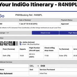 Flight Itinerary Date Edit