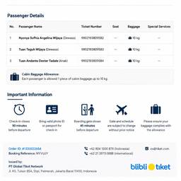 Depois - IA para Editar Passagens Aéreas