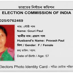 Voter ID Background Cleanup