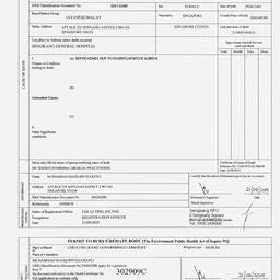 Después - Escaneo de documento enderezado