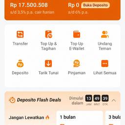 Banking App Balance Edit