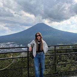 After - Mount Fuji Travel Edit