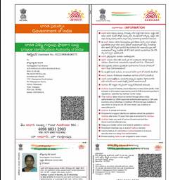 Aadhaar Birth Year Edit