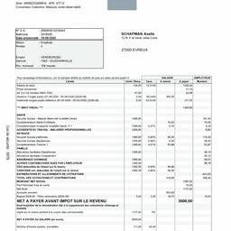 Payslip Net Pay Edit